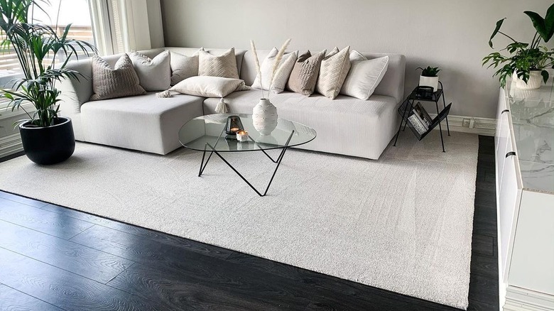 Living room with black hardwood floors