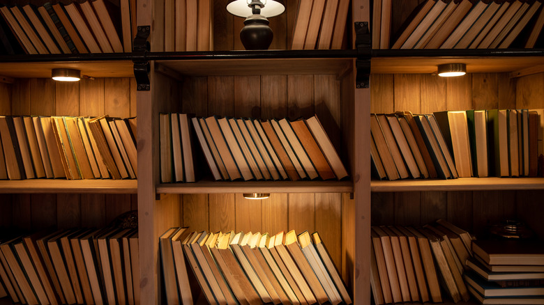 Pages-out bookshelf display