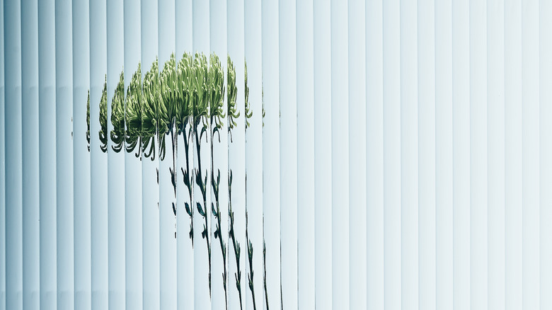 Flower behind Fluted glass