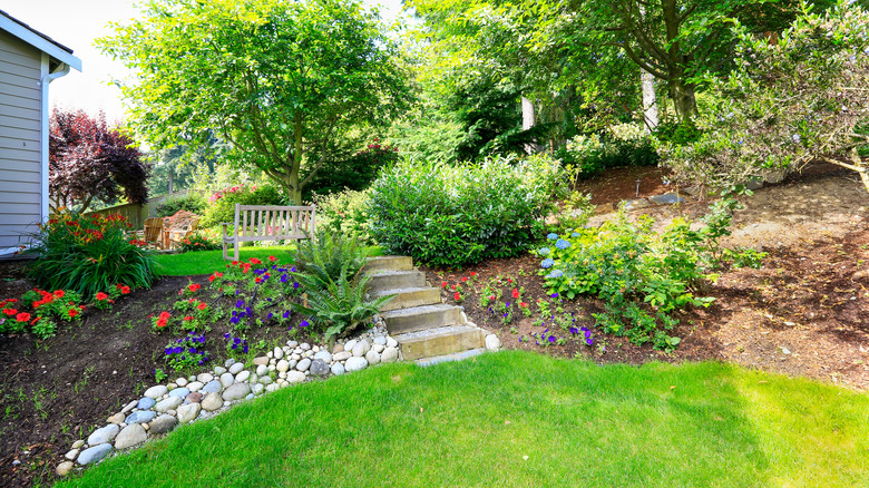 A sloped backyard with different plants to prevent erosion