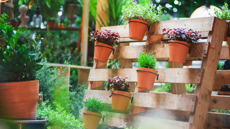 Pallet plant display