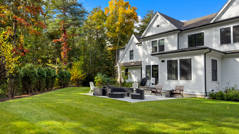 Large backyard and patio