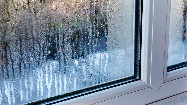 Condensation inside window 