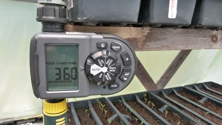 Sprinkler timer and starting seeds