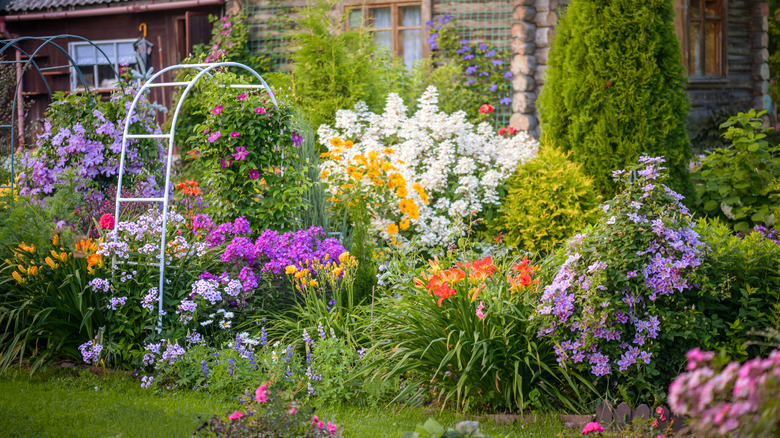 Gorgeous flower garden in front of a rustic cabin