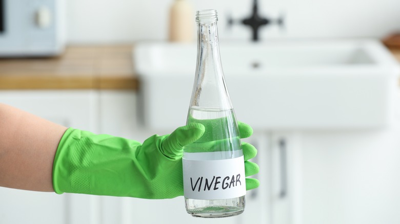 bottles of vinegar and baking soda