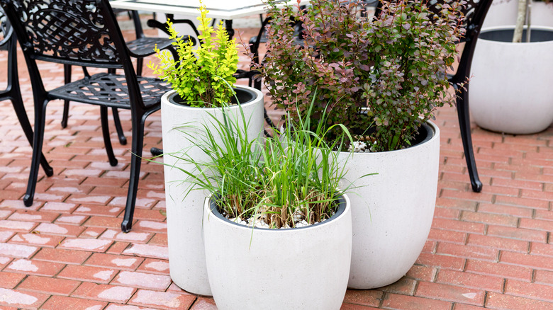 concrete plantesrs on a patio