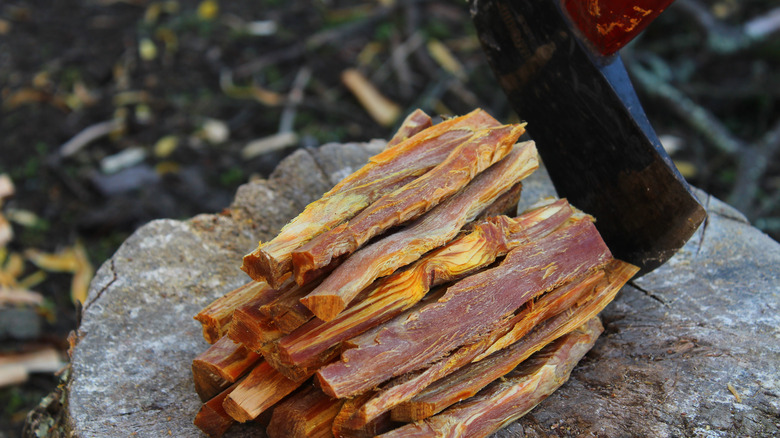 Fatwood on a stump