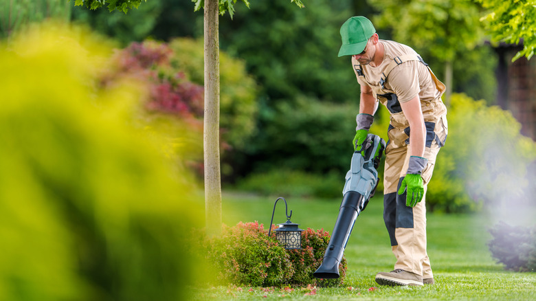 Cleaning garden with a leafblower