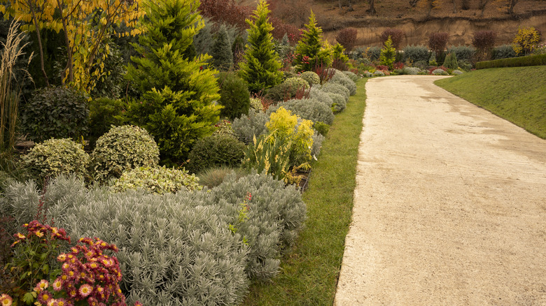 fall garden