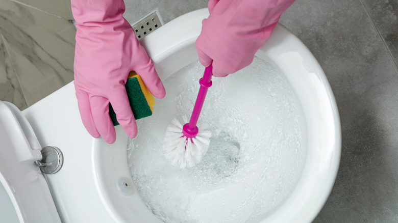 Pink gloves scrub toilet bowl