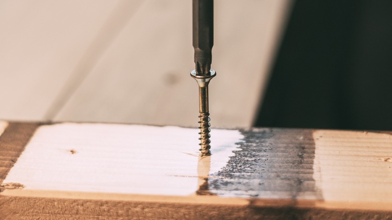 Screwdriver removing screw