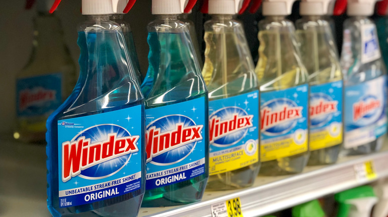 Windex on store shelf