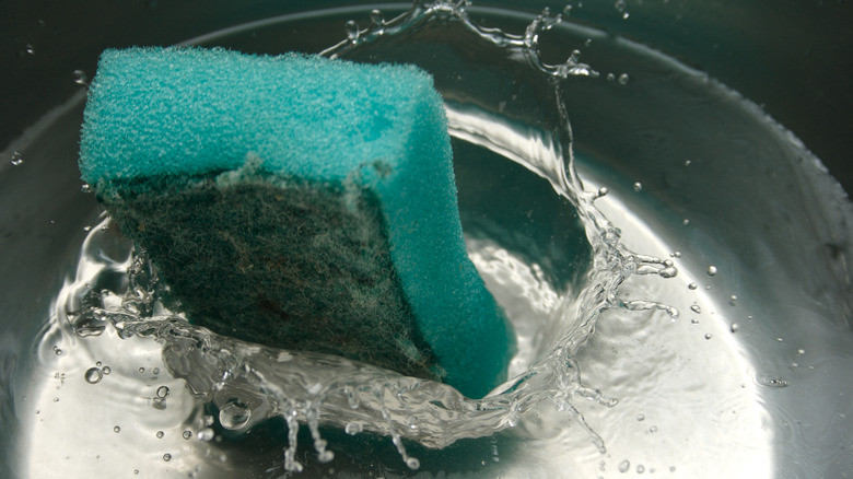 sponge in clear liquid