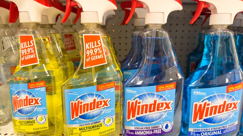 Windex on store shelves