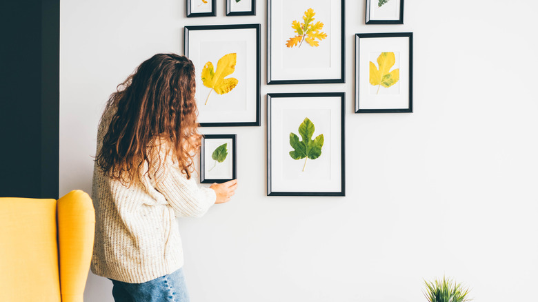 A person hangs multiple framed prints