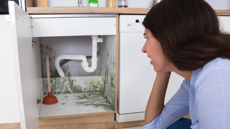 moldy wood kitchen cabinet