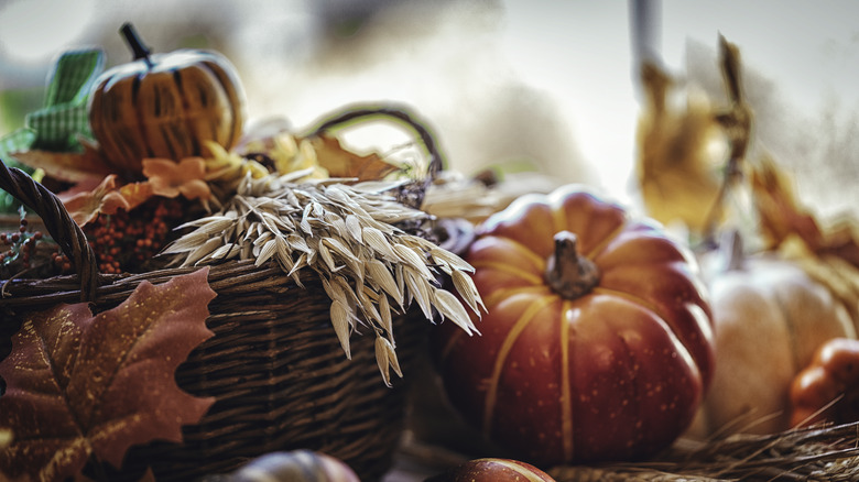 Fall pumpkins and foliage