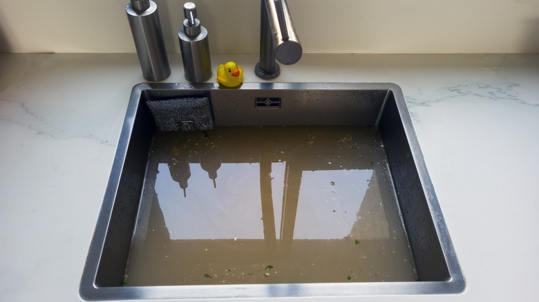 Clogged kitchen sink