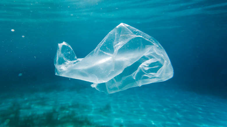 a plastic bag floating underwater