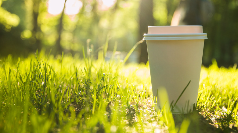 disposable paper cup in grass