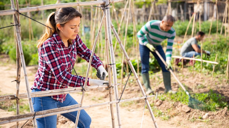 woman building trellis