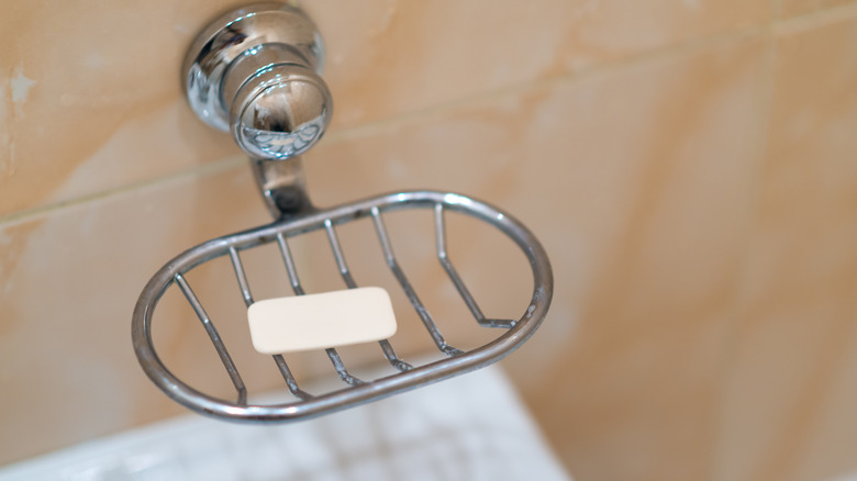 Bar of soap in soap dish