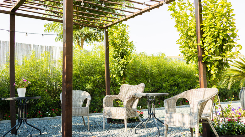 A patio with chairs has vines climbing a trellis that provides privacy and shade.