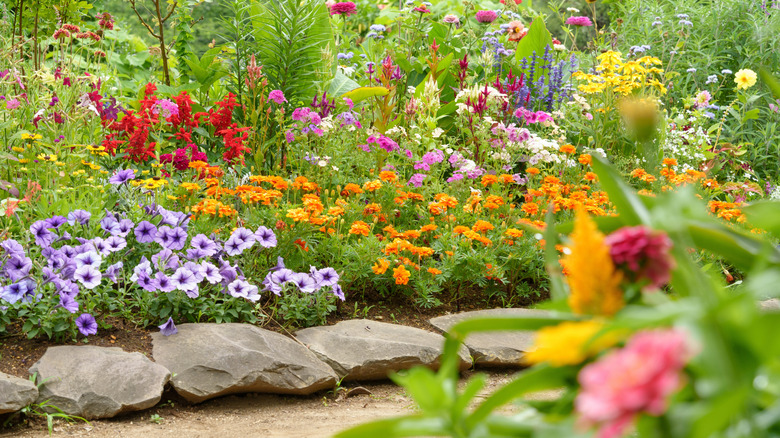 Colorful flower beds surrounding a pathway