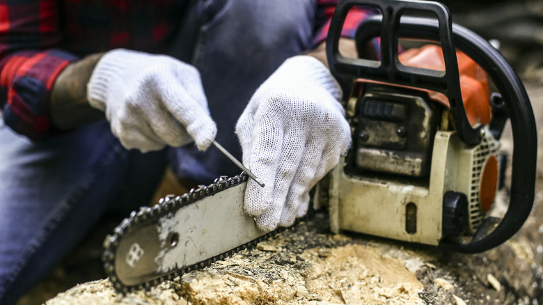 sharpening a chainsaw