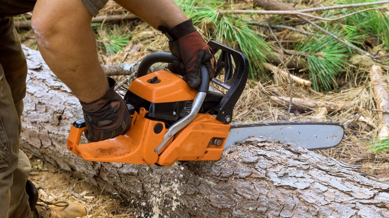 sharpened chainsaw cutting a log