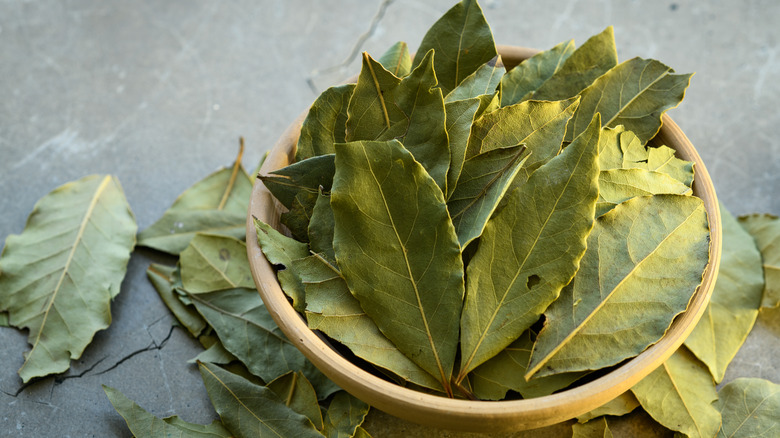 Bay leaves in pot