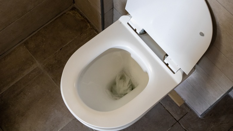 The Common Hack For Clogs That You Should Never Use On Your Toilet