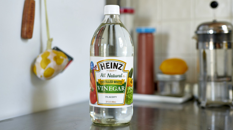 distilled white vinegar