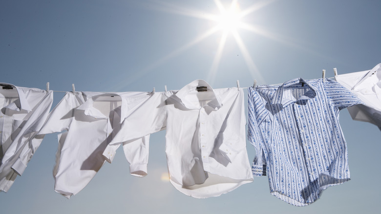 Shirts drying on a clothing line