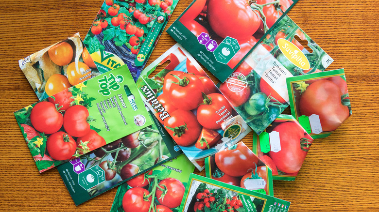 A spread of different tomato seed packets on a table top