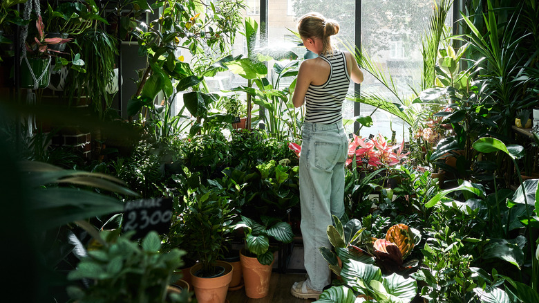 Woman caring for many plants