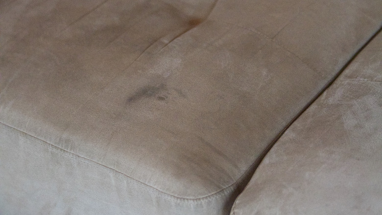 stain on suede sofa cushion