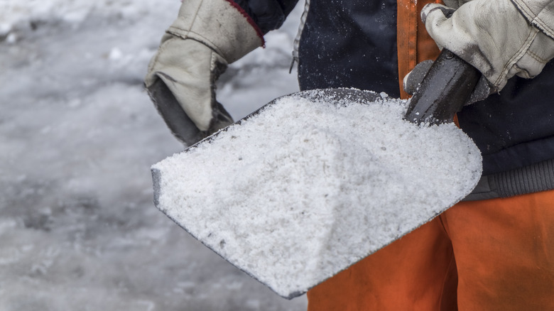 Person holding salt