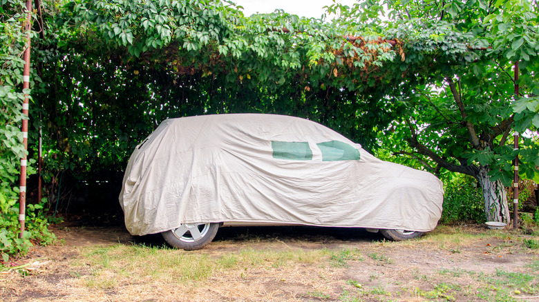 covered car in yard