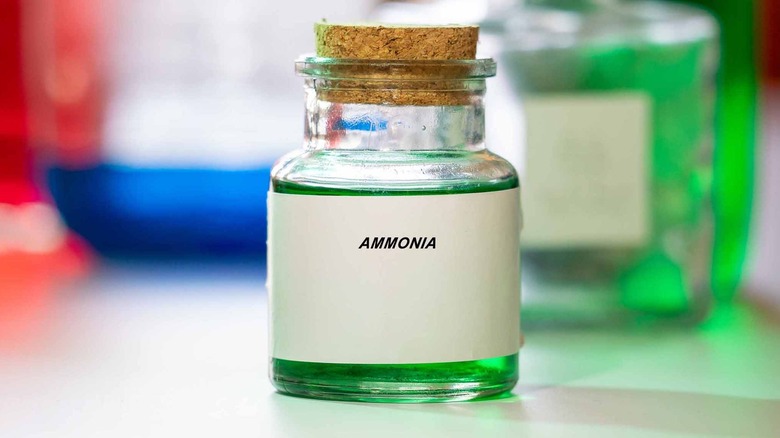 Bottle of ammonia