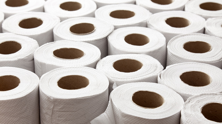 Toilet paper rolls