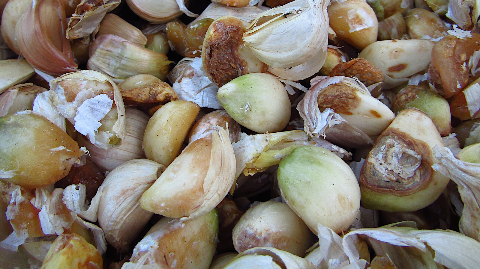 The Common Pest That Attacks Your Garlic And How To Get Rid Of It