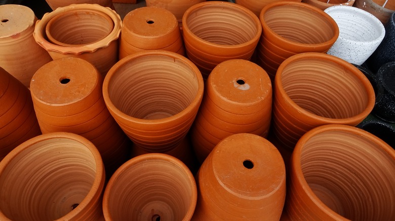 terracotta pots with drainage holes