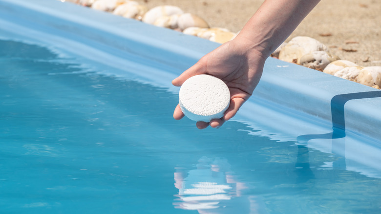 person adding chlorine tablet to swimming pool