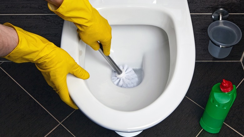 Gloved hands scrubbing toilet bowl