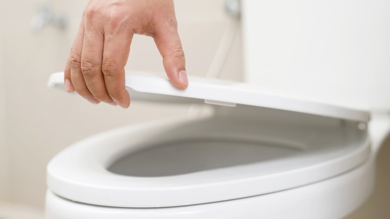 Hand closing toilet lid