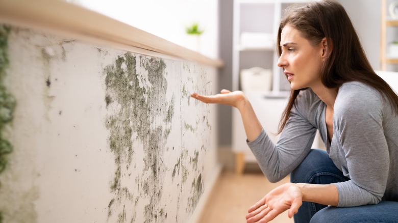 Woman assessing mold on a wall