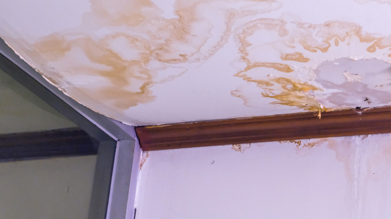 Damage on a ceiling that's causing sagging