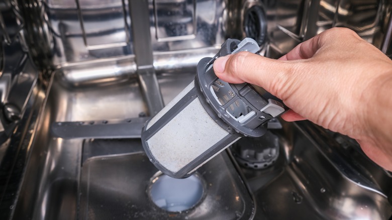 person cleaning dishwasher filer